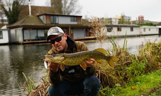 Speur alle waterlagen af met deze jerkbait!