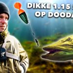 ***VIDEO*** ZIE hoe METER SNOEKEN JAGEN! – DOODAAS vissen met OGEN ONDER WATER!