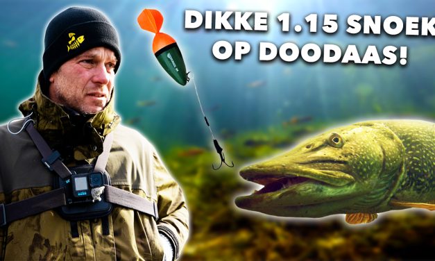 ***VIDEO*** ZIE hoe METER SNOEKEN JAGEN! – DOODAAS vissen met OGEN ONDER WATER!