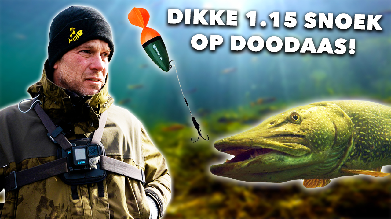 ***VIDEO*** ZIE hoe METER SNOEKEN JAGEN! – DOODAAS vissen met OGEN ONDER WATER!