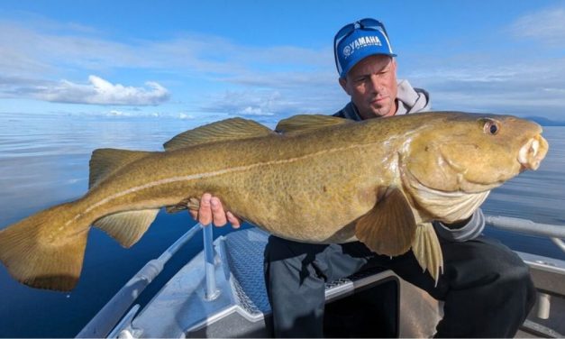 Light Tackle Avontuur in Noorwegen – Jouw kans op een unieke viservaring!