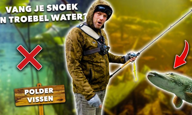 ***VIDEO*** VISSEN op SNOEK in TROEBEL WATER! Zo veel ACTIE hadden wij niet VERWACHT!