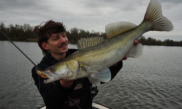 Vang MEER snoekbaars in het voorjaar door deze tips!