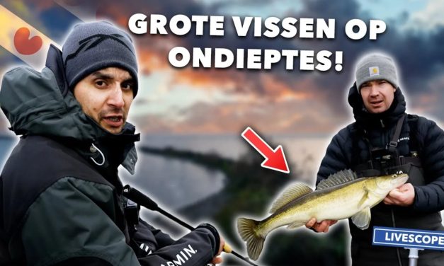 ***VIDEO*** BODEMSTRUCTUUR = ROOFVIS! Deze FISHFINDER WIZZARD laat zien hoe je ze kunt vinden!