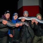 Vissen op ALIENS in onze Noordzee!