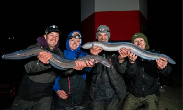 Vissen op ALIENS in onze Noordzee!