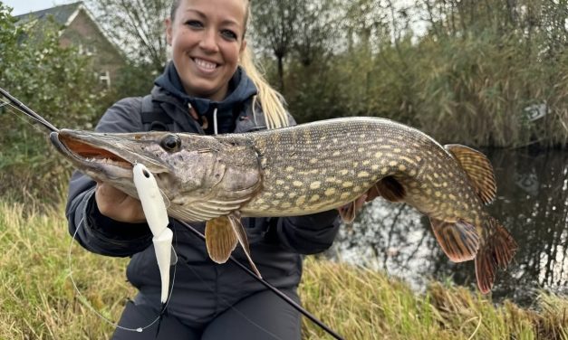 Nu NIEUW bij DeRoofvisser.com – Glidebaits!