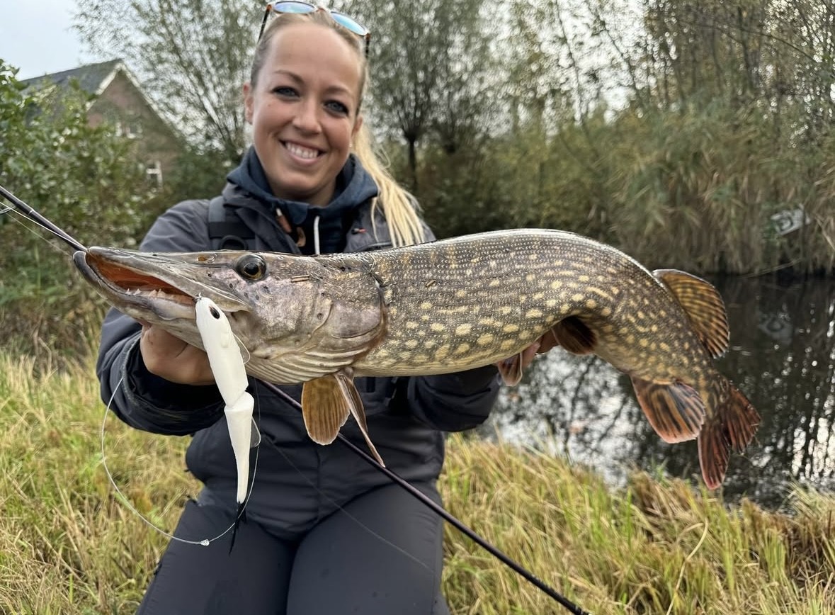 Nu NIEUW bij DeRoofvisser.com – Glidebaits!