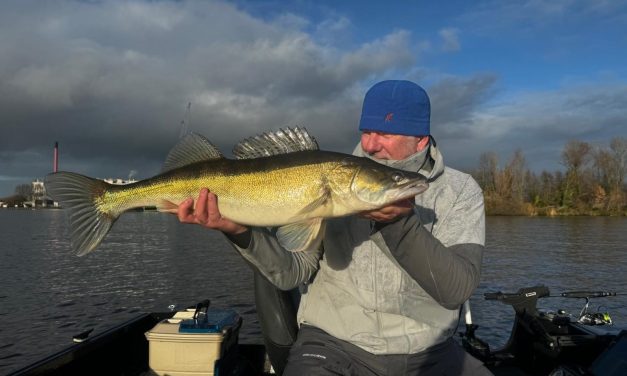 De sleutel tot succes bij snoekbaars – Tips & Tricks van Michael Stalenhoef