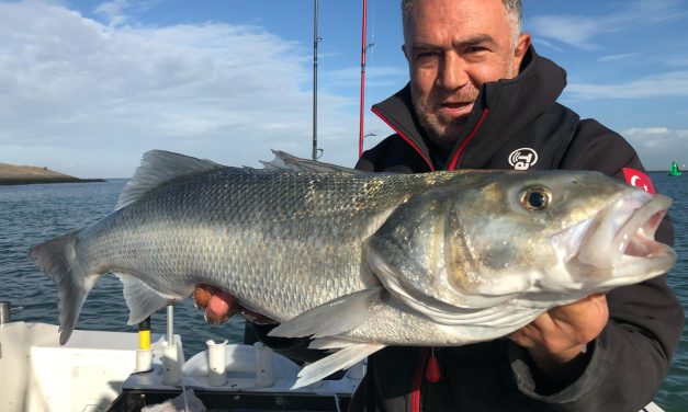 Zeebaars van 115 cm(!) en de zoektocht naar de ideale hengel