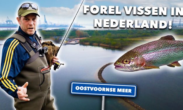 ***VIDEO*** Zo vang JIJ je EERSTE FOREL in NEDERLAND!