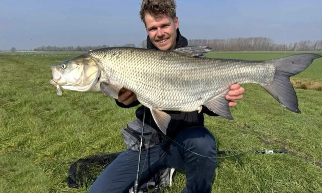 Wat de lichaamsbouw van een vis zegt over zijn jachtgedrag!