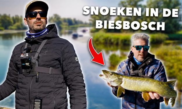 ***VIDEO*** SNOEK vissen in het MOOISTE NATUURGEBIED van NEDERLAND!