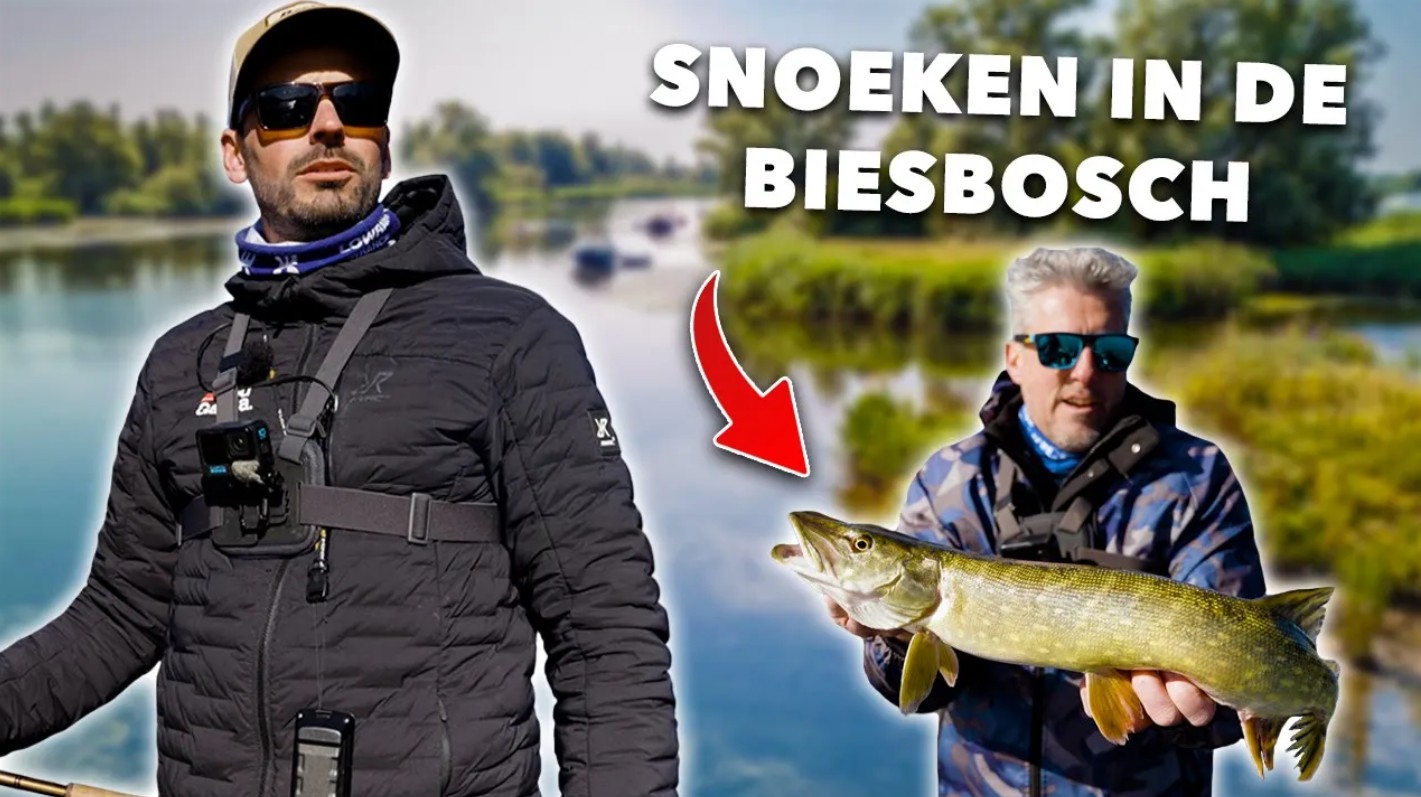 ***VIDEO*** SNOEK vissen in het MOOISTE NATUURGEBIED van NEDERLAND!