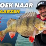 ***VIDEO*** DE BESTE STEKKEN EN TECHNIEKEN VOOR MONSTER BAARZEN!