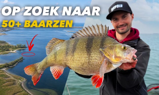 ***VIDEO*** DE BESTE STEKKEN EN TECHNIEKEN VOOR MONSTER BAARZEN!