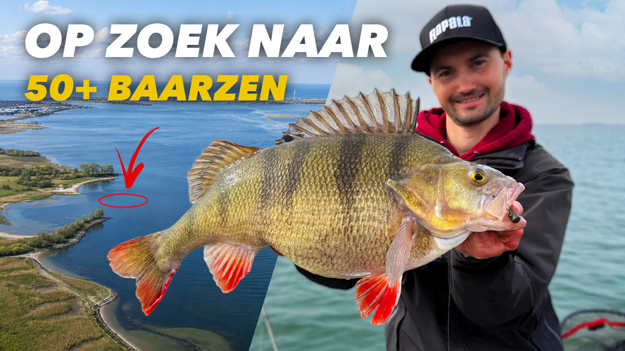 ***VIDEO*** DE BESTE STEKKEN EN TECHNIEKEN VOOR MONSTER BAARZEN!