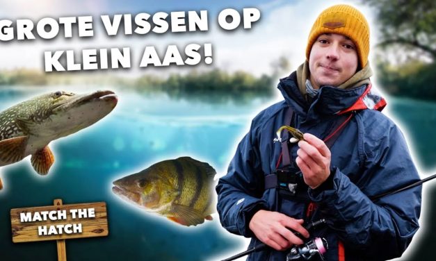 ***VIDEO*** VISSEN met de FAVORIETE PROOI van GROTE ROOFVIS!
