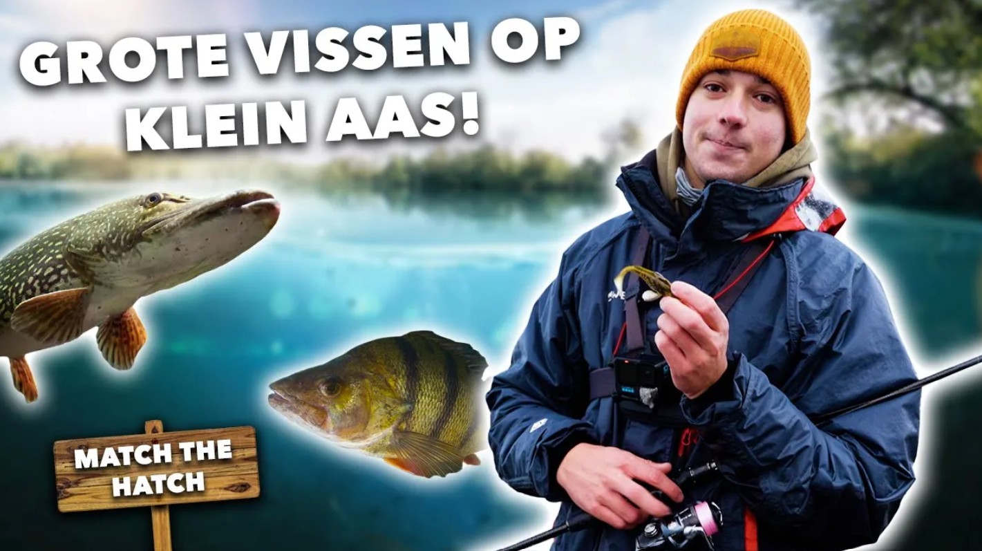 ***VIDEO*** VISSEN met de FAVORIETE PROOI van GROTE ROOFVIS!