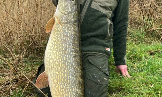 ***BREAKING*** Snoek van 140 cm PLUS in Nederland!!!