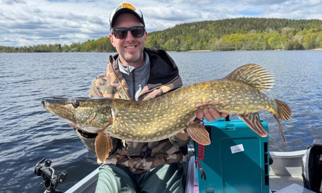 Aantallen snoek of… die big mama?!