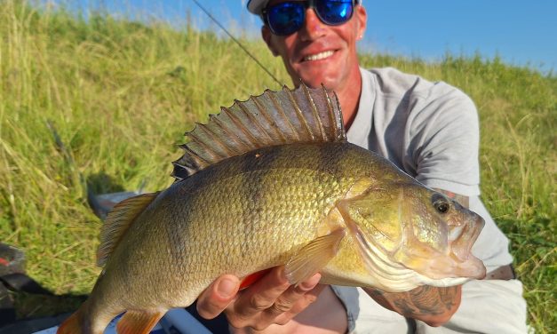 Live Leaderboard Yamaha Pro Fishing Cup 2025