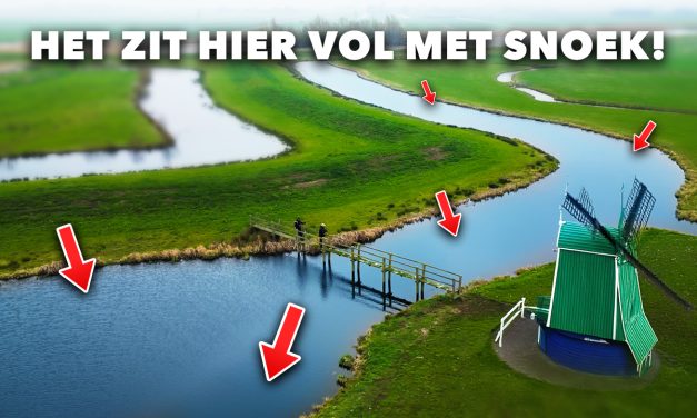***VIDEO*** EXTREEM veel GROTE SNOEK in deze KLEINE POLDER!