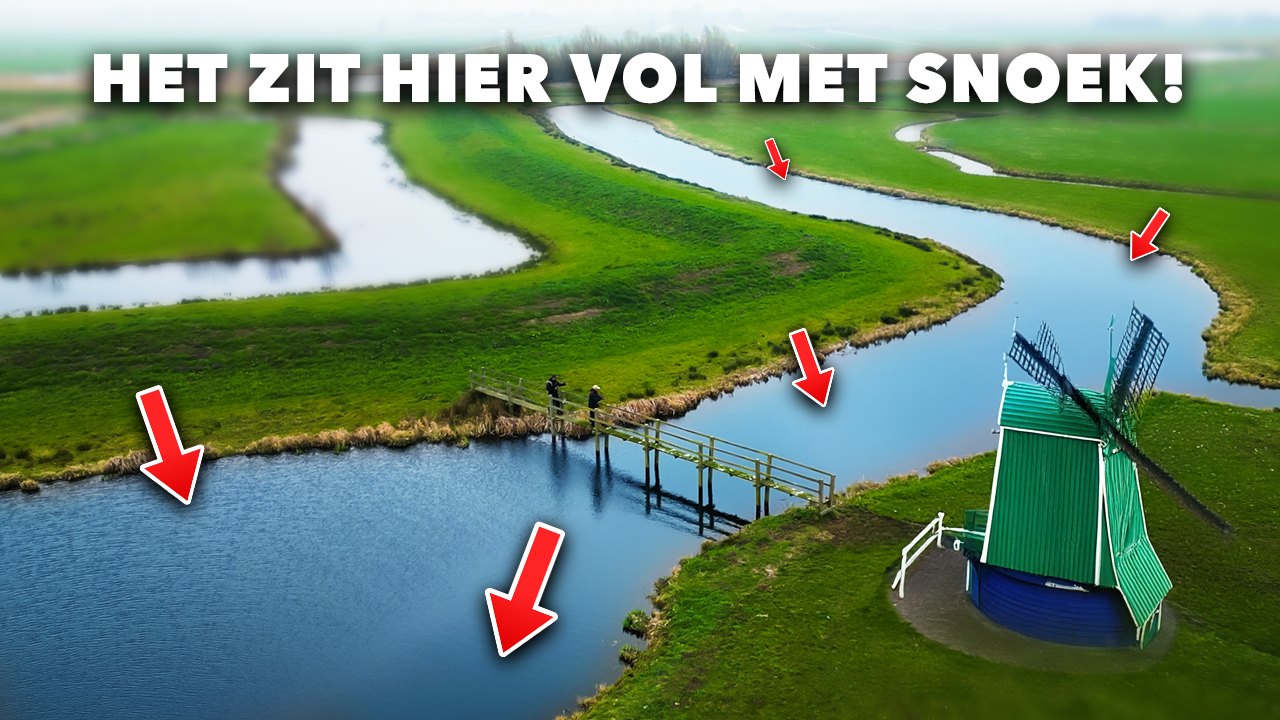 ***VIDEO*** EXTREEM veel GROTE SNOEK in deze KLEINE POLDER!