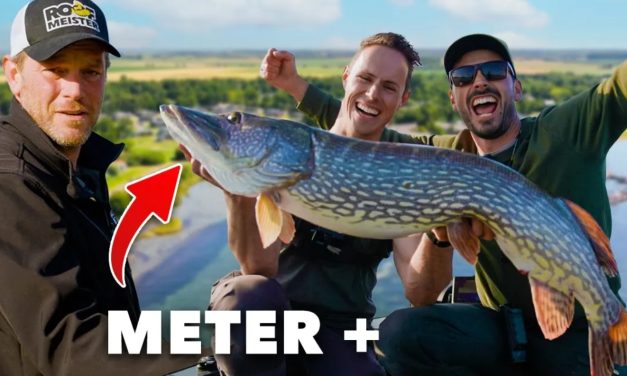 ***VIDEO*** Deze BAARS telt voor 56 CM & BIZARRE vangst op het EINDE!
