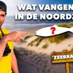 ***VIDEO*** Wij VISSEN op ZEEBAARS maar VANGEN IETS ANDERS?!