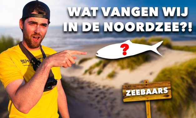 ***VIDEO*** Wij VISSEN op ZEEBAARS maar VANGEN IETS ANDERS?!