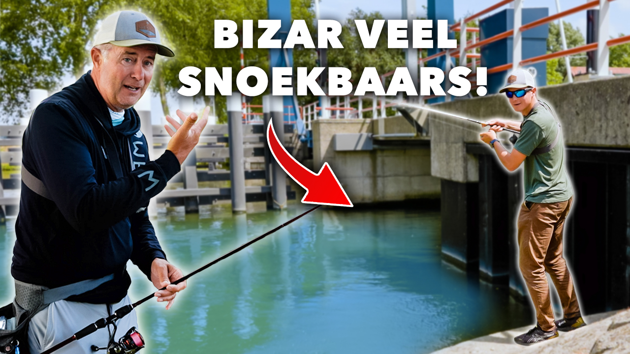 ***VIDEO*** LEER ALLES over SNOEKBAARS VISSEN vanaf DE KANT!