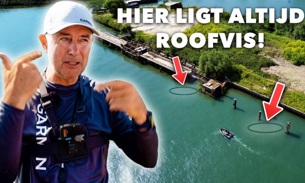 ***VIDEO*** Wij ZOEKEN de beste STEKKEN en LEREN JOU ALLES!