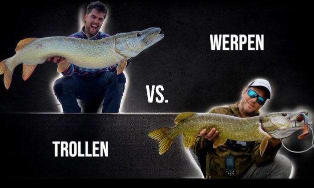 Trollen VS Werpen op snoek – Alle voor- én nadelen!