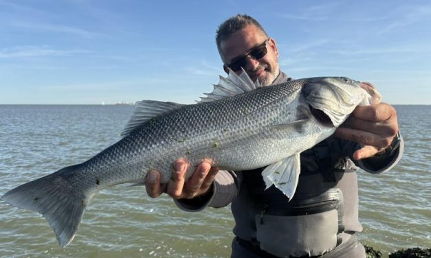 Roofmeister INSIDE: Weer 86 cm roofblei, 99 cm snoekbaars & kans van 1 op de 54 miljoen!