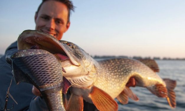 XXL kunstaas voor XXL snoek!