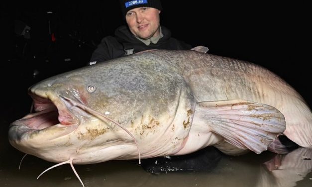 Roofmeister INSIDE: 120+ snoek, 50+ baarzen & dit is de truc voor snoekbaars!