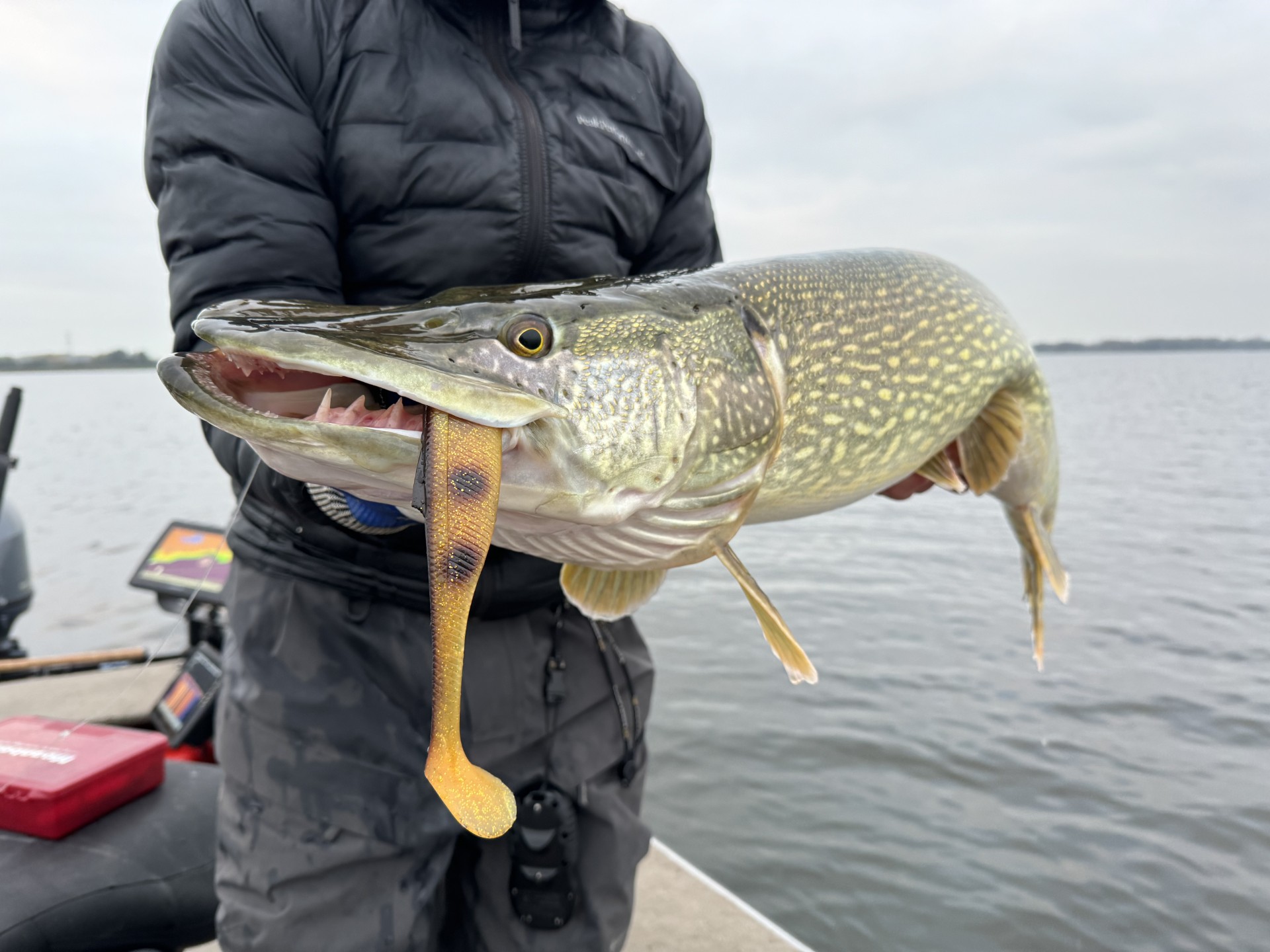 Zo ga jij jouw RECORD SNOEK vangen met een shallow screw!