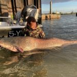 Meerval in de winter – Zo gedragen ze zich en vang jij ze! Tips van de experts