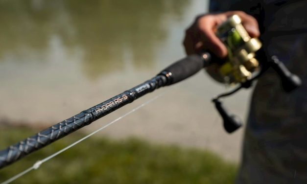 Nieuw voor 2026 – Tophengels en slimme schepnetten van Sportex!
