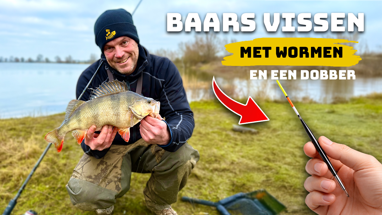 ***VIDEO*** Dobber vissen op grote baars – Iedereen kan zo een 50’er vangen!