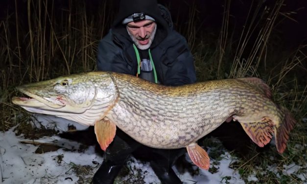 Roofmeister INSIDE: Meest bizarre wintervangsten, 20 kilo snoek(!) & DJ of RM podcast?