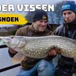 ***VIDEO*** Zo vis je gericht op metersnoek vanaf de kant!