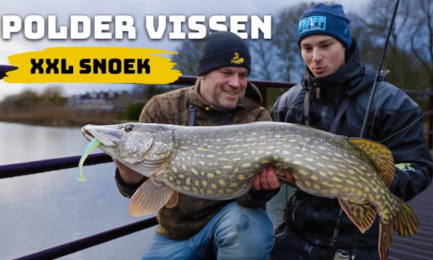 ***VIDEO*** Zo vis je gericht op metersnoek vanaf de kant!