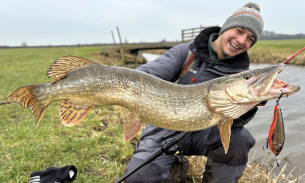 Eindelijk een Westin jerkbait & heavy duty baitcaster!