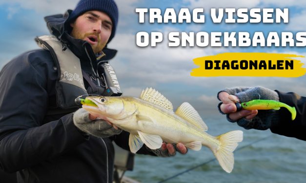 ***VIDEO*** Verticaal op snoekbaars maar dan anders!