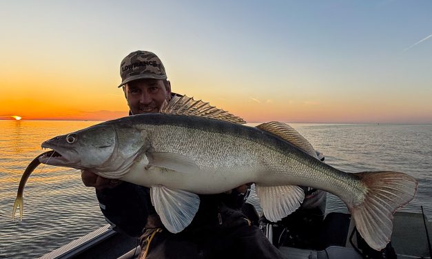 Kunstaas tot in perfectie – Maak kennis met de eerste drie softbaits van Kuore