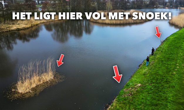 ***VIDEO*** Deze STEK ligt VOL SNOEK! – Vissen met GLIDEBAITS in de POLDER