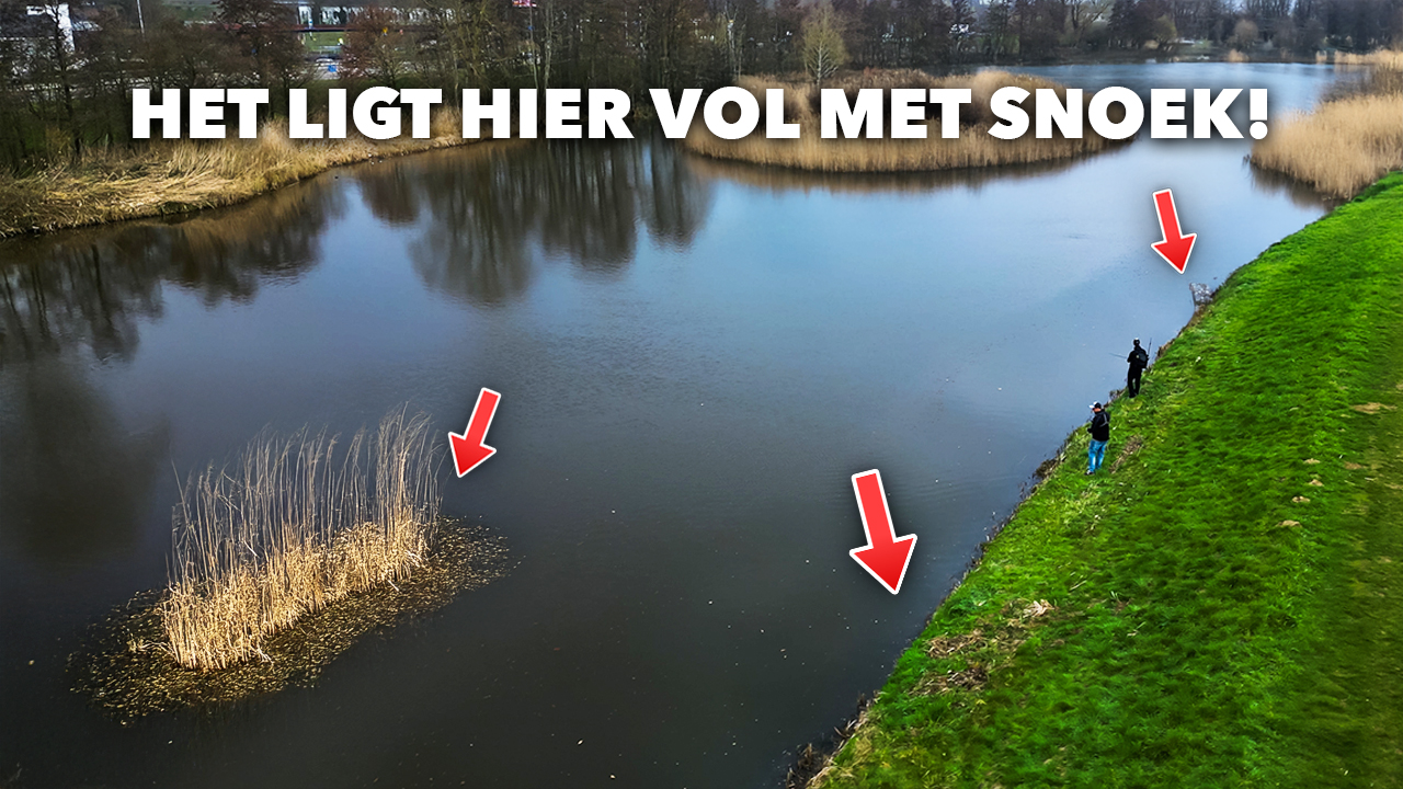 ***VIDEO*** Deze STEK ligt VOL SNOEK! – Vissen met GLIDEBAITS in de POLDER