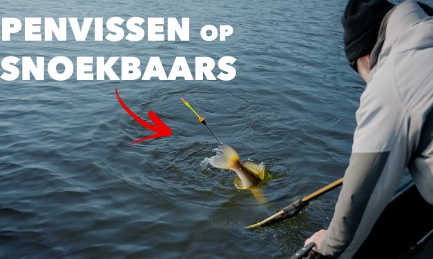 ***VIDEO*** ALLES over VISSEN met de DOBBER OP SNOEKBAARS